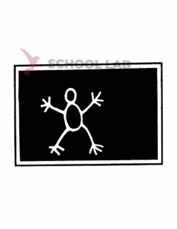 Blackboard, double-sided, 1160 x 760 mm